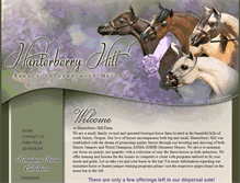 Tablet Screenshot of hunterberryhill.com